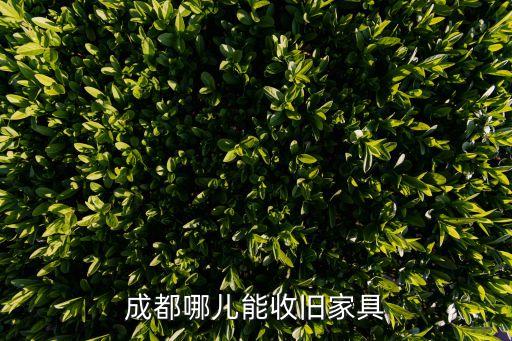 成都哪儿能收旧家具