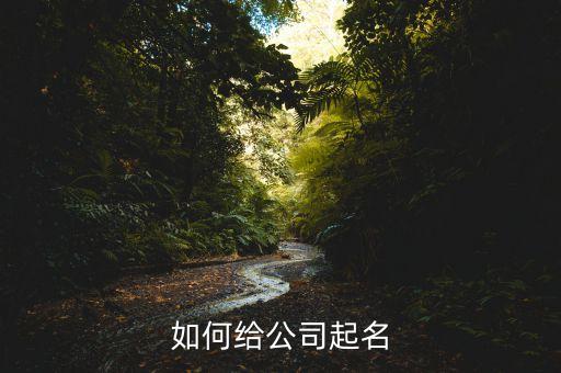 如何给公司起名