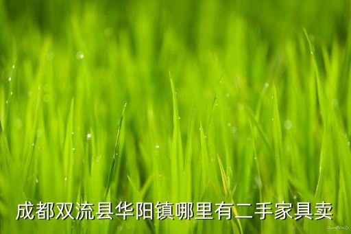 成都双流县华阳镇哪里有二手家具卖