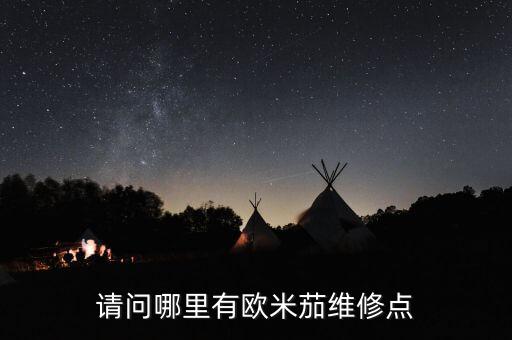 请问哪里有欧米茄维修点