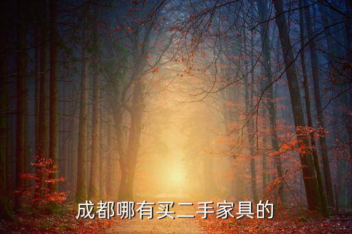 成都哪有买二手家具的