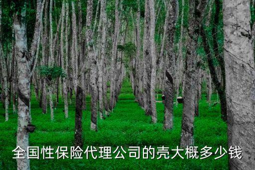 全国性保险代理公司的壳大概多少钱