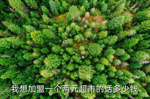 我想加盟一个两元超市的话多少钱