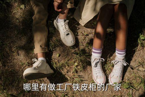 哪里有做工厂铁皮柜的厂家