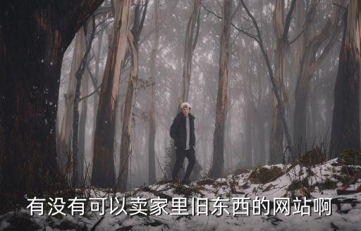 有没有可以卖家里旧东西的网站啊