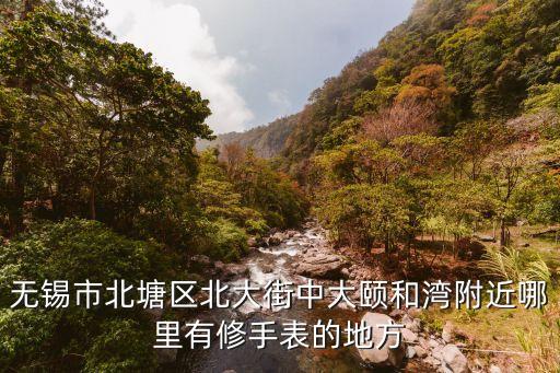 无锡市北塘区北大街中大颐和湾附近哪里有修手表的地方