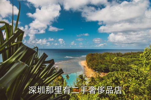 深圳二手奢侈品交易市场，深圳那里有二手奢侈品店