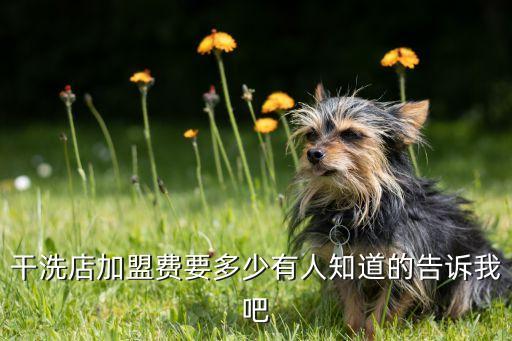 干洗店加盟费要多少有人知道的告诉我吧
