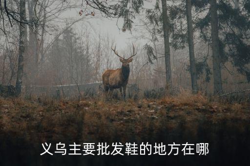 义乌主要批发鞋的地方在哪