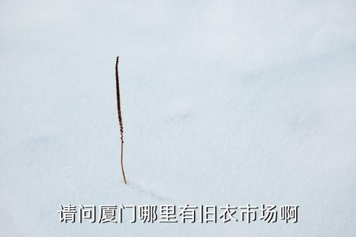 请问厦门哪里有旧衣市场啊
