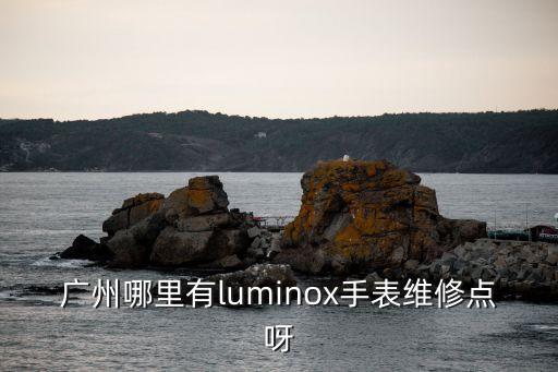 广州哪里有luminox手表维修点呀