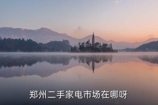 郑州二手家电市场在哪呀