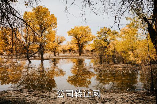 公司转让网
