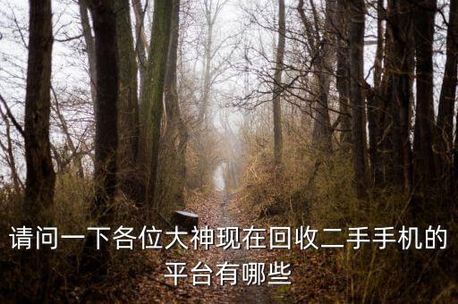请问一下各位大神现在回收二手手机的平台有哪些