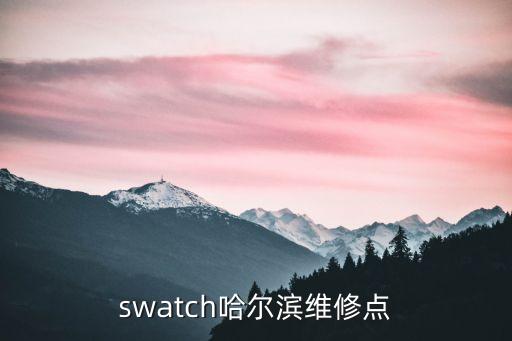 swatch哈尔滨维修点