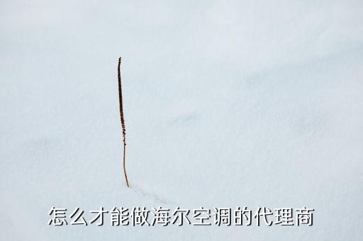 海尔电器加盟代理条件，怎么才能做海尔空调的代理商