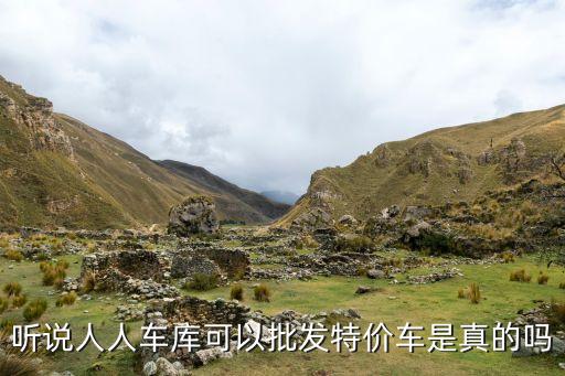听说人人车库可以批发特价车是真的吗