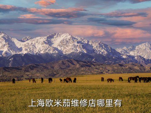 欧米茄上海官方维修总部地址徐汇，欧米茄手表客户服务中心