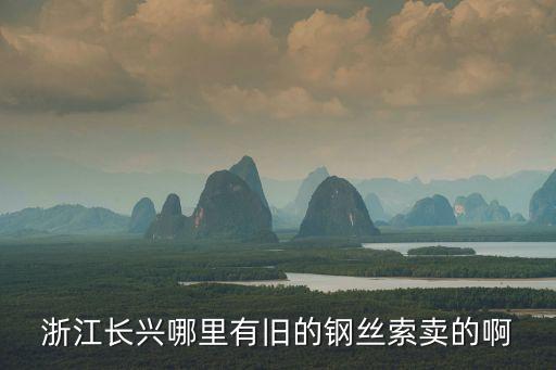 浙江长兴哪里有旧的钢丝索卖的啊