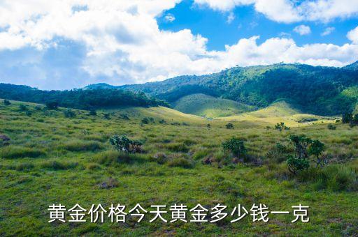 黄金价格今天黄金多少钱一克