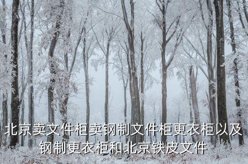 北京卖文件柜卖钢制文件柜更衣柜以及钢制更衣柜和北京铁皮文件