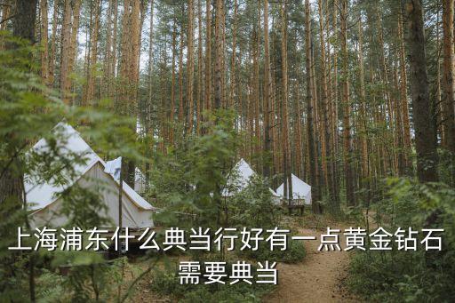 上海浦东什么典当行好有一点黄金钻石需要典当