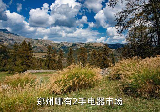 郑州市二手家电批发公司名字，郑州哪有2手电器市场