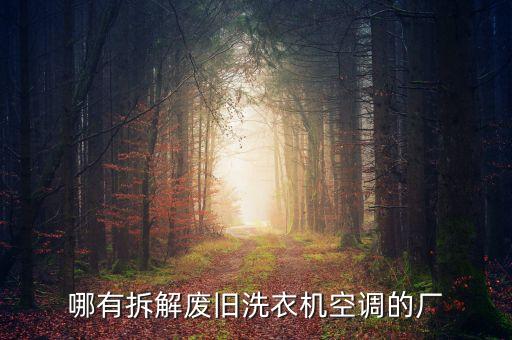 哪有拆解废旧洗衣机空调的厂