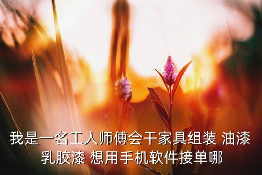 我是一名工人师傅会干家具组装 油漆 乳胶漆 想用手机软件接单哪