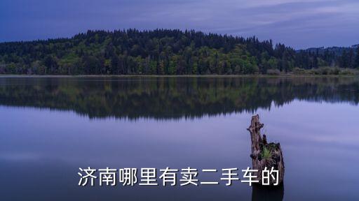 闲鱼二手车交易市场济南，济南哪里有卖二手车的