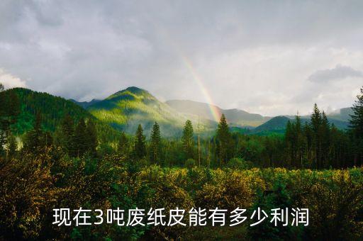现在3吨废纸皮能有多少利润