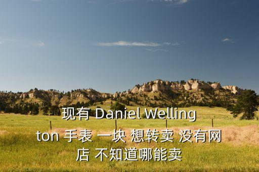 现有 Daniel Wellington 手表 一块 想转卖 没有网店 不知道哪能卖