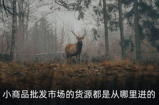 小商品批发市场的货源都是从哪里进的