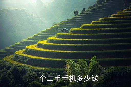 二手手机价格评估价格表，一个二手手机多少钱