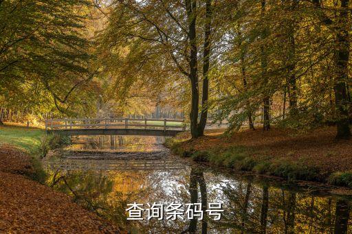 查询条码号
