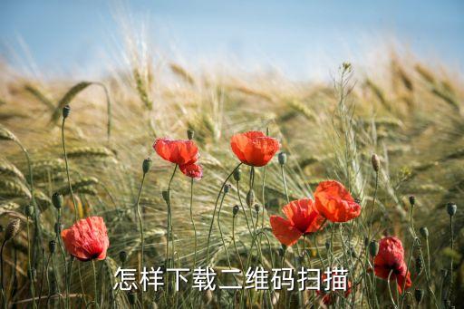 烟盒二维码扫码平台怎么下载，怎样下载二维码扫描