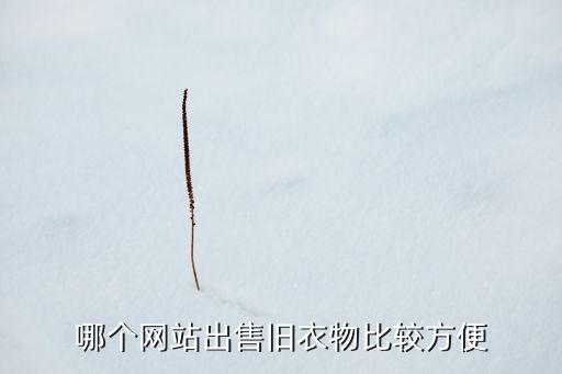旧衣服回收网站交易平台有哪些，哪个网站出售旧衣物比较方便