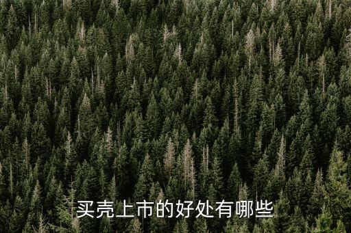 买壳上市的好处有哪些
