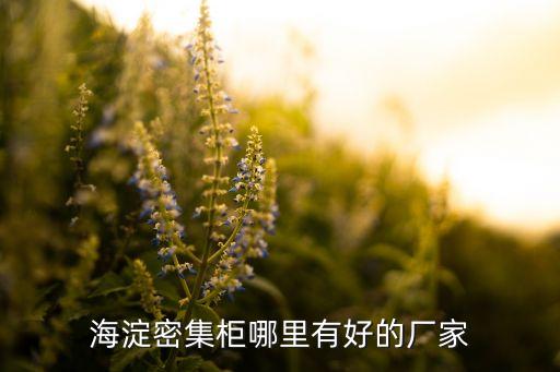 北京铁皮柜生产厂家有哪些地方，海淀密集柜哪里有好的厂家