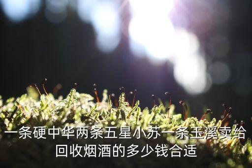 一条硬中华两条五星小苏一条玉溪卖给回收烟酒的多少钱合适
