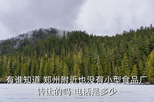 有谁知道 郑州附近也没有小型食品厂转让的吗 电话是多少