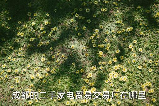 成都的二手家电贸易交易厂在哪里