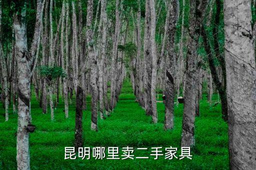 昆明哪里卖二手家具