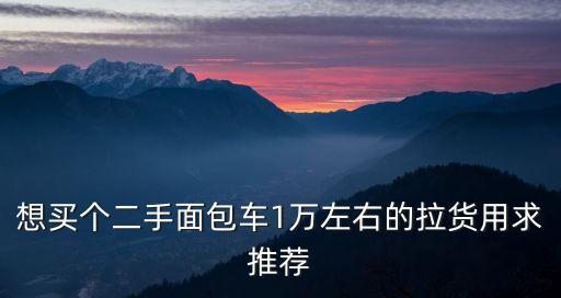 想买个二手面包车1万左右的拉货用求推荐