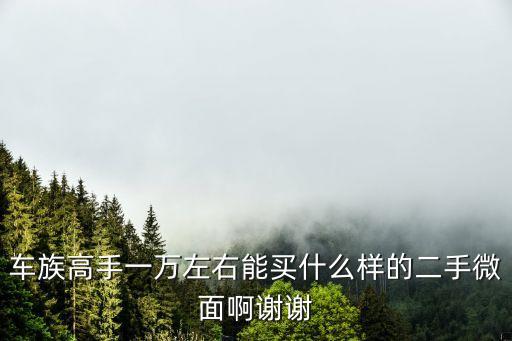 车族高手一万左右能买什么样的二手微面啊谢谢