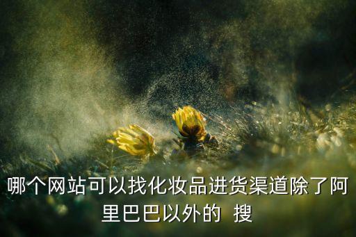 哪个网站可以找化妆品进货渠道除了阿里巴巴以外的  搜