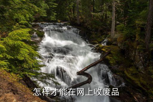 怎样才能在网上收废品