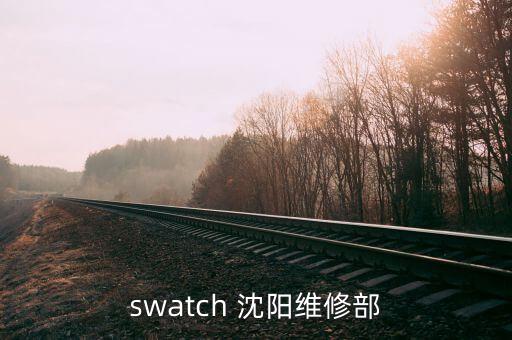 沈阳欧米茄手表售后维修网点，swatch 沈阳维修部