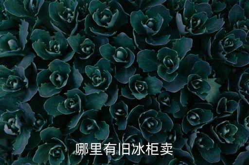 58同城成都二手冰箱个人转让，成都的二手冰箱冰柜