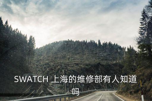 SWATCH 上海的维修部有人知道吗